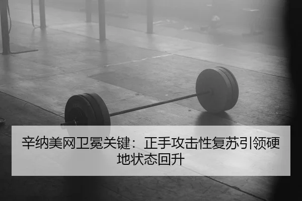辛纳美网卫冕关键：正手攻击性复苏引领硬地状态回升